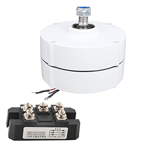 Generador de Imanes Permanentes de 100W 12V NE-100, Alta Eficiencia, Perfecto para Uso Industrial, Resistente a Temperaturas Extremas, Cómodo de Instalar (Motor + rectificador)
