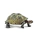 Safari Ltd Wild Safari North American Wildlife - Desert Tortoise - Realistic Hand Painted Toy Figurine Model - Quality Construction From Safe and BPA Free Materials - For Ages 3 and Up