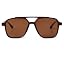 Brown Frame Brown Lens