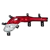 Genérico Luces Traseras Coche Luz de freno coche, Reflector trasero, lámpara parada para Wuling para almaz 2018-2021 Ensamblaje Luces Traseras(Only 1 Left)