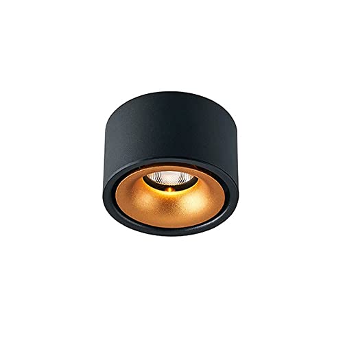 Plafonnage de plafond directionnel blanc spot moderne 10W - 2