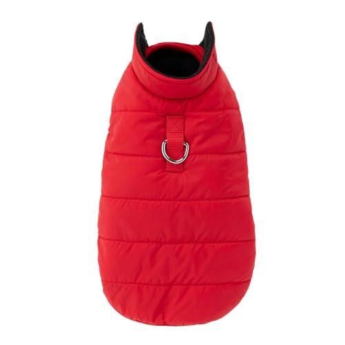 JCY(CAINZ) 킽׃Xg bh SSTCY ybg(̕)