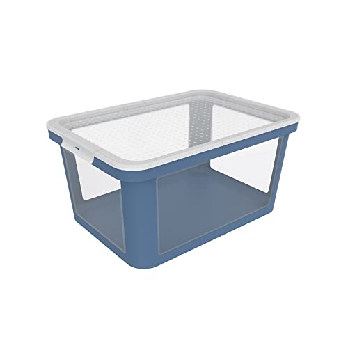 Boîte de rangement 45L Rotho Albris transparente et bleue avec couvercle clippé