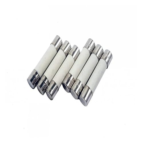 Fusibili a cartuccia con tubo in ceramica, fusibili di rete domestici in ceramica, confezione da 100, ampere assortiti, 0,5 A-30 A, 250 V, 6 x 30 mm.(25a)