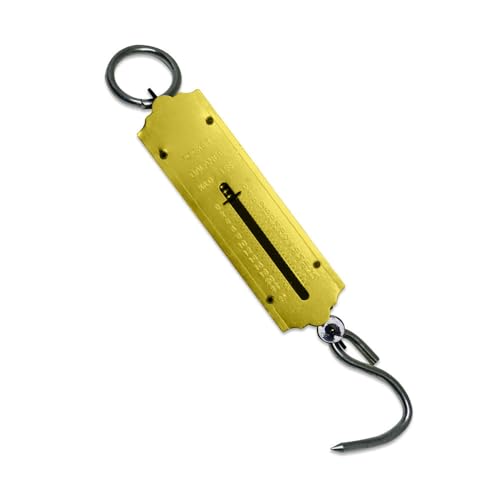Balança Peixeiro Feira Pesca Gancho 25Kg Manual
