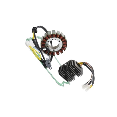 Joint de stator et composants électriques pour Leonardo 250