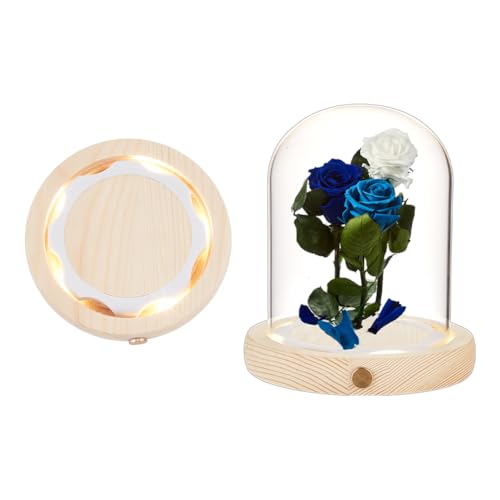 Nbeads Campana De Cristal Con Base De Luz Led, Cúpula De Pantalla Altamente Transparente, Cúpula De Cristal Para Flores Eternas Para Centros De Mesa, Plantas, Piedras, Muestras, Decoración, Artesanía