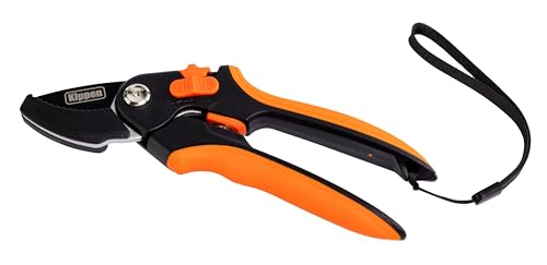 Kippen 6180B - Cesoie da Potatura per il Giardinaggio con Tagliente a Incudine
