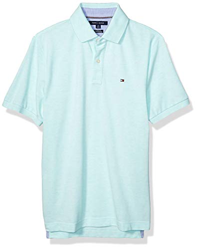 Tommy Hilfiger mens Short Sleeve in Classic Fit Polo Shirt, Limpet Shell Heather, Large US