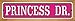Princess Dr. Novelty Wood Mounted Small Metal Street Sign WB-K-1289