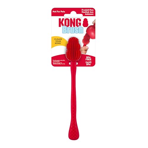 KONG Reinigungsbürste für Hunde