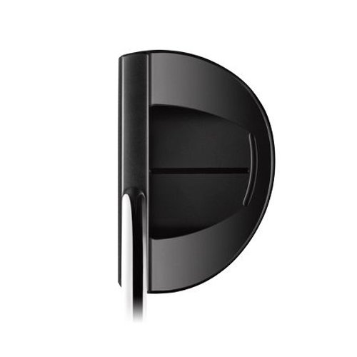 Amazon | TITLEIST(タイトリスト) スコッティーキャメロン セレクト