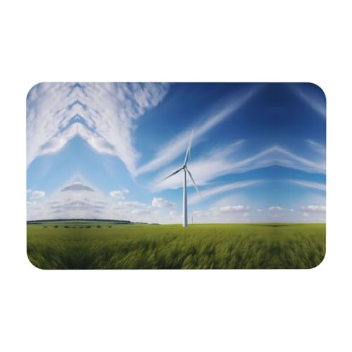 POEZJZW Zerbino girandola per interni ed esterni, tappetino da ingresso per bagno, cucina, doccia, zerbino, 40 x 80 cm