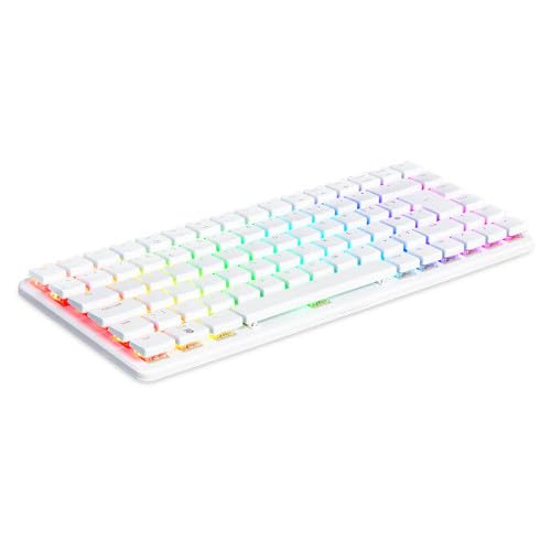 Amazon.co.jp: Raspberry Pi 500+ メカニカルキーボードコンピュータ