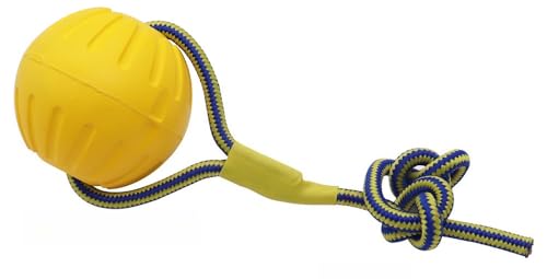 Š  2 [v {[ ybg A100SŖŁA ȕs̎q ኚށAmߋAA (2×LF9cm)