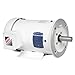 Baldor-Reliance CEWDM3545 General Purpose Washdown Duty Motor (Painted) - General Purpose Motor (Painted), 1 hp, 3 ph, 3600 rpm, 230/460 V
