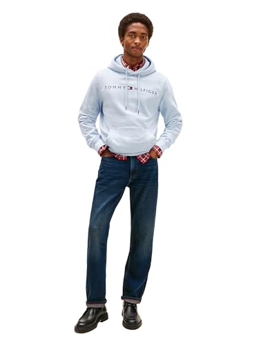 Image of Tommy Hilfiger Men's THD Hoodie Sweatshirt