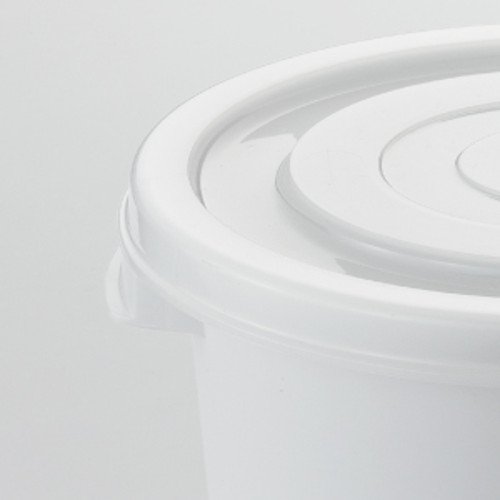 Squirrel and or water container 