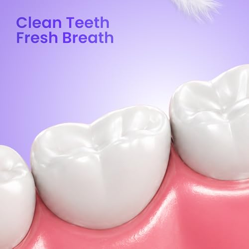 Image of Enshine Advance Clean+ Soft Toothbrush for Adults - Pack of 8 | Ultra Soft Tapered PBT Bristles | Tooth Brush Set with Non-Slip Grip | Manual Toothbrushes for Sensitive Gums & Enamel | Color Purple