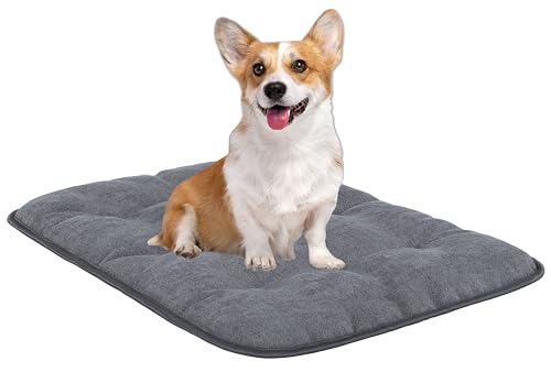 MyBestBuddy Hundekissen Pik grau 60x40 cm S, allergikerfreundlich (100% Polyester) - rutschfest, 40°C waschbar mit flauschigem Stoffbezug - Hundematte BZW. Hundebett für kleine Hunde, 60 x 40 cm
