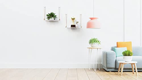 Image of Meshable Weebill Metal Wall Shelves | Wire Mesh Hanging Shelf for Home Decor | Multi Porpose Floating Shelf with Jute Rope | Durable, Modern & Stylish Wall Shelf - Single Tier (White)