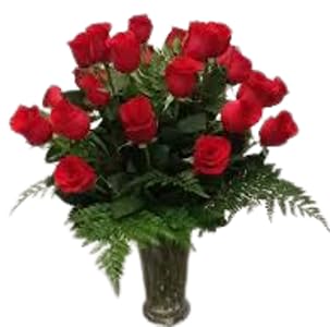 Artificial Silk 18 Inch Leather Leaf Fern Greenery Florist Quality 7 Leaves per stem 6 Bunches totals 504 Leaves (6 Bunches of 12 Stems 72 Stems)