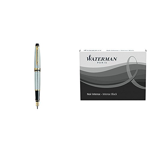 Stylo plume Waterman Expert élégant en acier satiné et attributs dorés avec son écrin de luxe