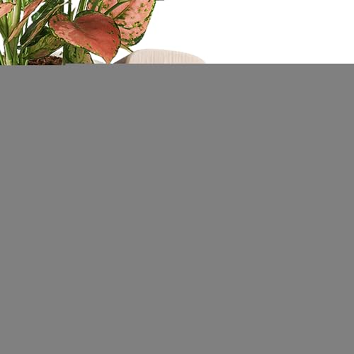 Flkiglm Figurine mobile en bois pour tableau de bord - Figurine décorative de voiture avec pieds mobiles - Figurine de véhicule pour SUV, camion, berline, chambre à coucher, appartement