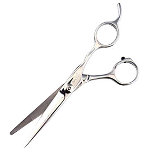 Parkjun Silver Cutting Scissors Professional Barber Hair Cutting Beauty Scissors