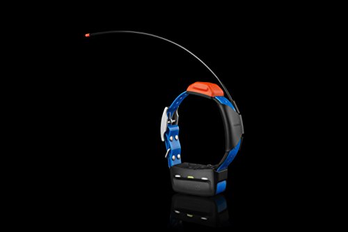 Garmin T5 Gps Dog Collar #TOP1