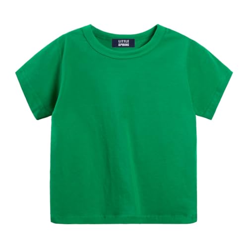 Image of LittleSpring Boys Girls T Shirt Rainbow Striped Cotton Crewneck Tees for Kids Fashion