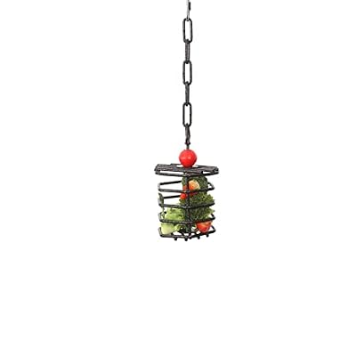 Parrot Foraging Cage Feeder (Small)