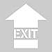 Accuform EXIT (PMS206)