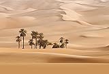 Fototapete: 3,84 m x 2,6 m Fototapete Natur Palmen Landschaft Wüste Sand Schlafzimmer Wohnzimmer  3,84 m x 2,6 m  Beige/Creme, Braun, Grün