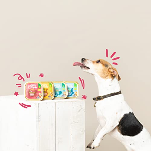 Edgard & Cooper Pâté Pour Chien, (Dinde Bio, 100g x 17), Sans Céréales& Biologique, Viande fraîche et protéines de qualité, Vrais ingrédients pour chiens, Hypoallergénique, Sans sucres ajoutés – Image 5