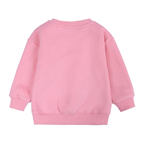 Toddler Boys Girls Fleece Lined Crewneck Sweatshirt Kids Sport Solid Basic Cotton Pullover Tops Long Sleeve Shirt2