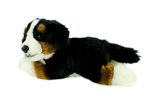 Teddys Rothenburg Kuscheltier Berner Sennenhund 25 cm schwarz/braun/weiß liegend Plüschhund
