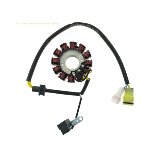Stator de bobine d'allumage 12 bobines haute conductivité NC250 NC450