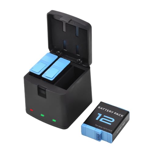 Carregador de Bateria de Câmera Springway