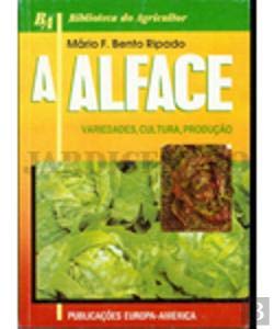 A Alface