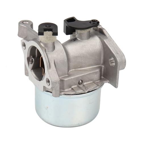 Kit carburateur 790845 avec filtre à air 491588S pour réparation motorisation Briggs Stratton