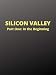 Silicon Valley: Part One, In the Beginning