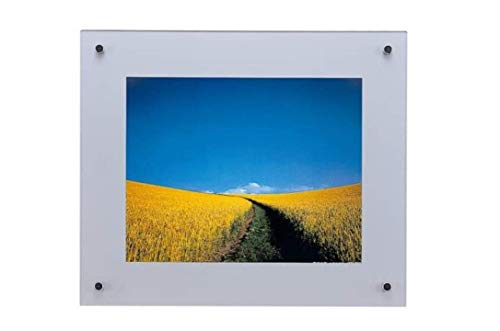 FUJICOLOR 額縁 プロフレーム 半切 アクリル シルバー 40109