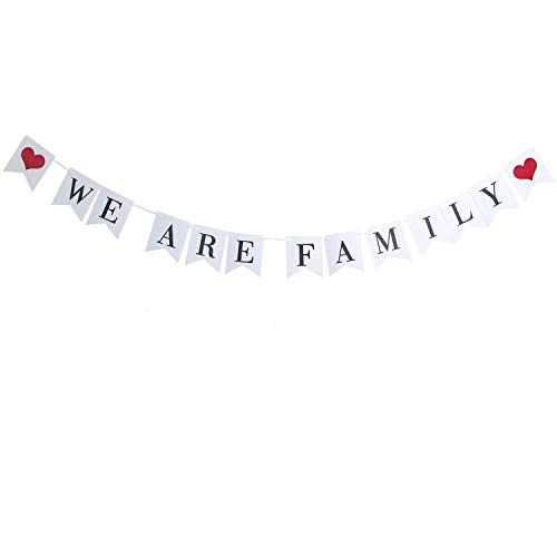 Family Bunting Banner Family Photo Prop Family Reunion Party Banner for Family Party Home Decoration - WE are Family