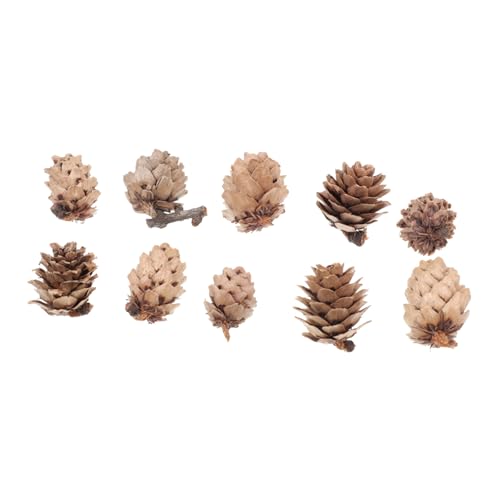 GOOHOCHY 100 Pièces Ornements Pommes de Pin Naturelles Séchées pour Décoration DIY Accessoires Naturels pour et Intérieur et Sûr