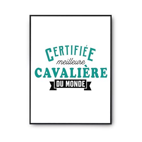 Poster Cavaliere du monde Otshirt affiche humour déco murale cadeau anniversaire