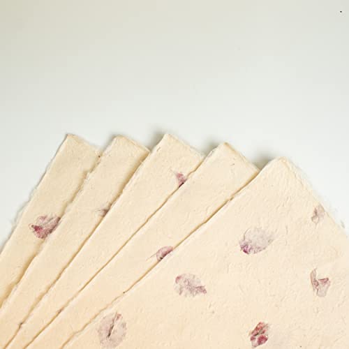 Bodhiartistry Handmade Reusable All Natural Gift Wrapping/Packaging Art & Craft Paper With Bougainvillea Leaves 5 Sheets 20"X30" #TOP4