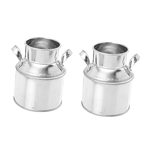 TOYANDONA 2pezzi Secchio per Piantare Vintage in Contenitore per Piante da Casa Secchio Portaoggetti da Scrivania Articoli