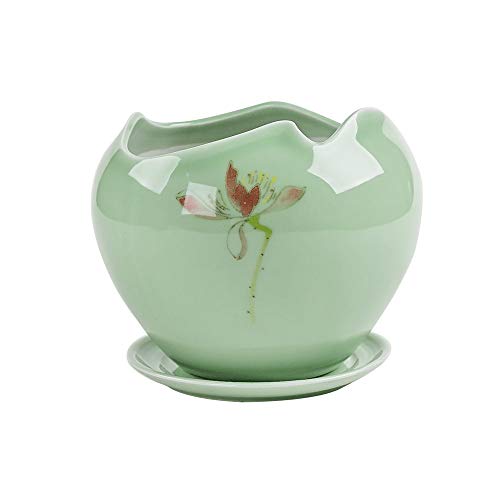 Accessoires de pot YRYRYW en céramique pour sauver vos succulentes du flétrissement
