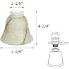 Aspen Creative 23108-4 Transitional Style Replacement Alabaster Glass Shade with Hand Painted Veins, 2-1/8 Fitter Size, 4-3/4 high x 5-3/8 diameter, 4 Pack